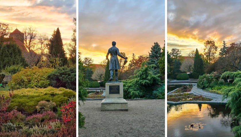 Na trzech zdjęciach widok Ogrodu Botanicznego o zachodzie słońca w październiku