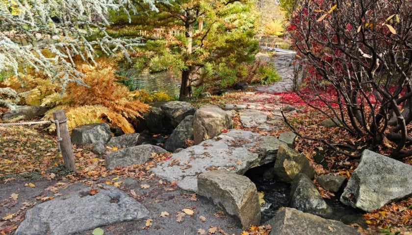 Ogród Japoński we Wrocławiu w jesiennej odsłone