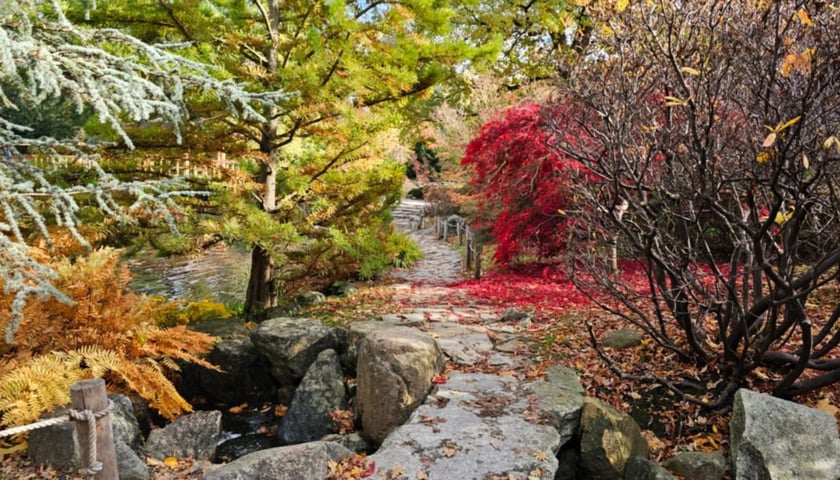 Ogród Japoński we Wrocławiu w jesiennej odsłone