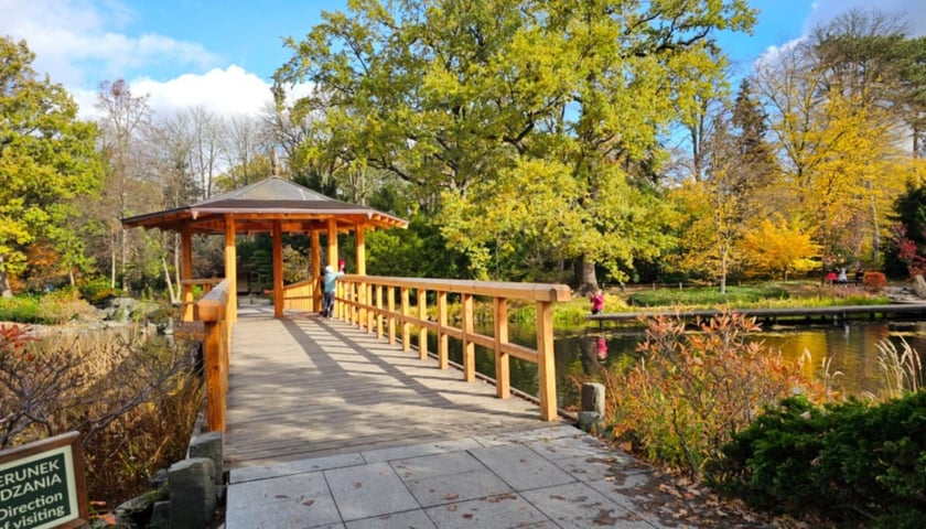Ogród Japoński we Wrocławiu w jesiennej odsłone