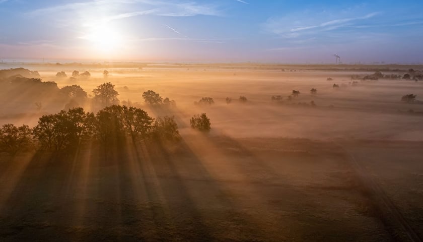 Widok na pola irygacyjne 