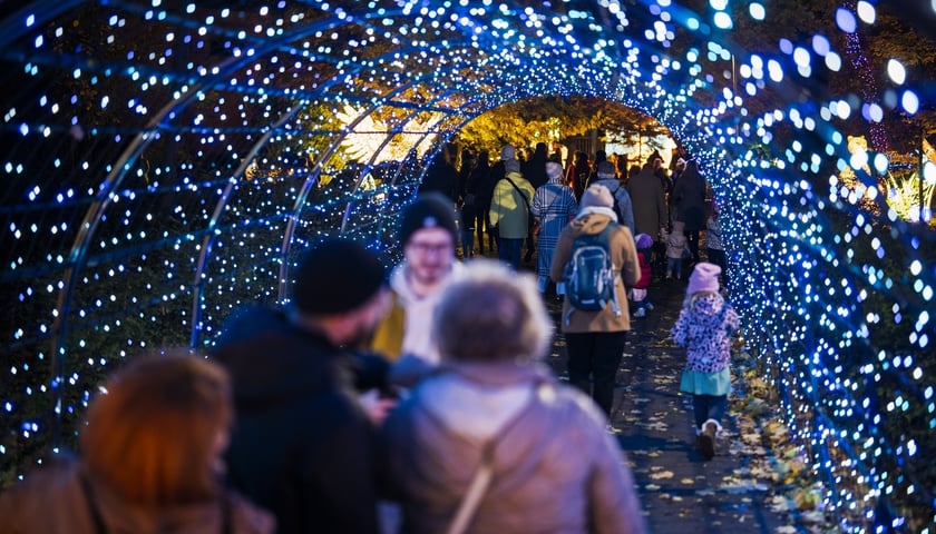 <p>Wystawa garden of Lights-Ogród Świateł „Dzika Ameryka” potrwa w Zoo Wrocław od 31 października do 1 marca 2026</p>