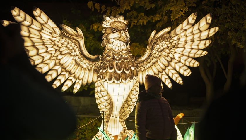 Wystawa garden of Lights-Ogród Świateł „Dzika Ameryka” potrwa w Zoo Wrocław od 31 października do 1 marca 2026