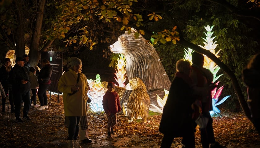 Wystawa garden of Lights-Ogród Świateł „Dzika Ameryka” potrwa w Zoo Wrocław od 31 października do 1 marca 2026