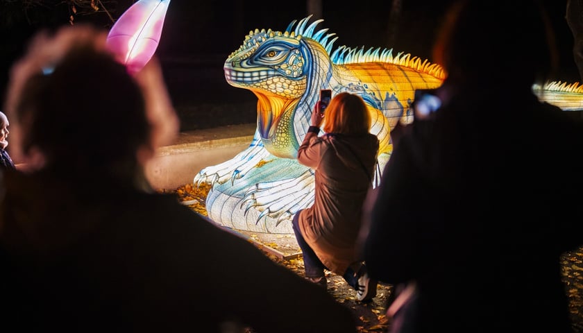 Wystawa garden of Lights-Ogród Świateł „Dzika Ameryka” potrwa w Zoo Wrocław od 31 października do 1 marca 2026