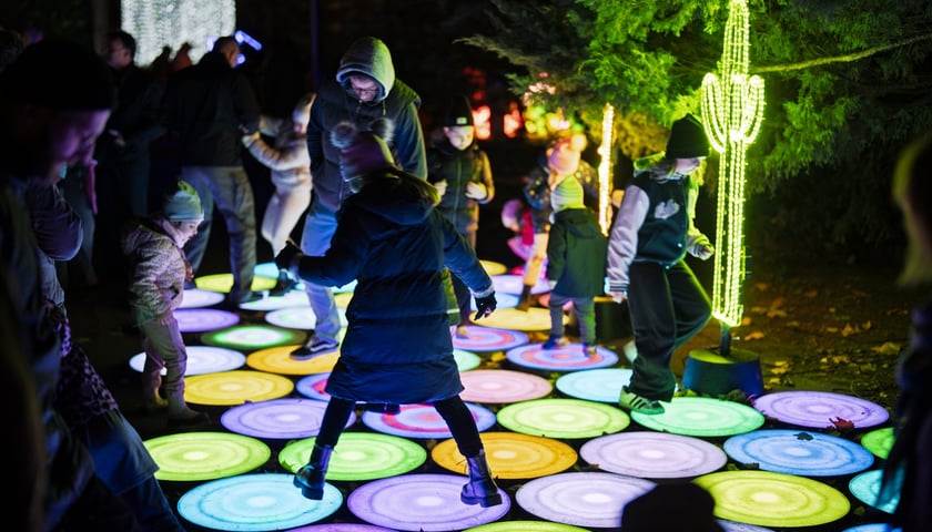 <p>Wystawa garden of Lights-Ogród Świateł „Dzika Ameryka” potrwa w Zoo Wrocław od 31 października do 1 marca 2026</p>