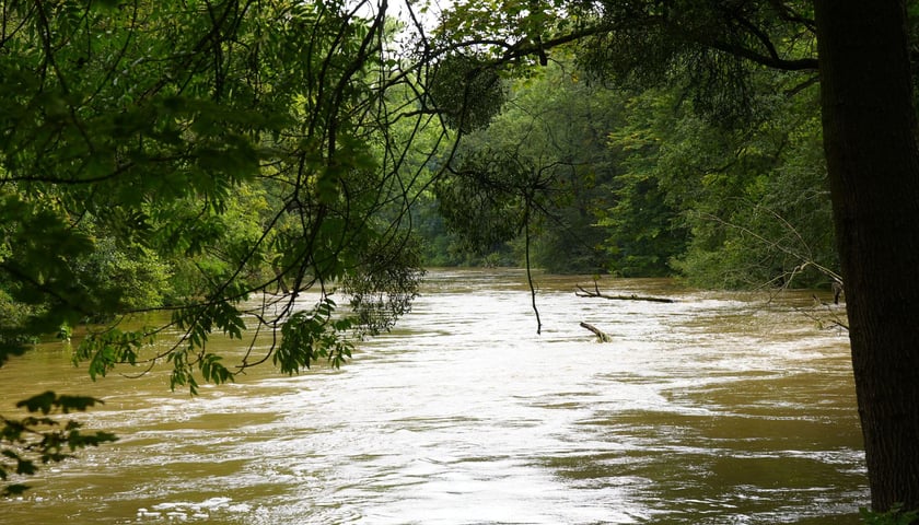 Wezbrana rzeka, zdjęcie ilustracyjne