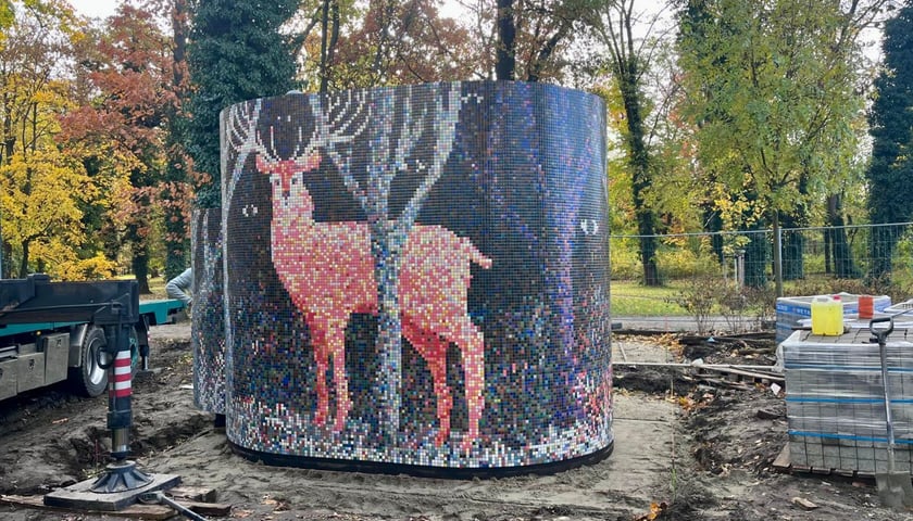 Toaleta w parku Tarnogajskim