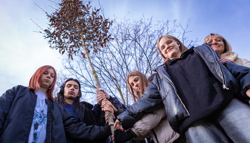 Dzieci z pieczy zastępczej sadzą drzewa w powstających Ogrodach Szczytnickich