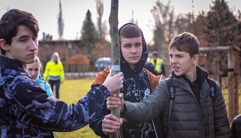 Dzieci z pieczy zastępczej sadzą drzewa w powstających Ogrodach Szczytnickich