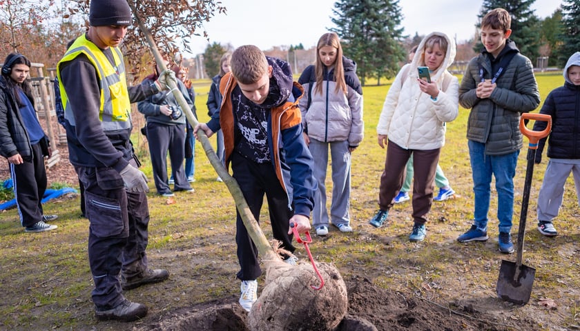 Dzieci z pieczy zastępczej sadzą drzewa w powstających Ogrodach Szczytnickich