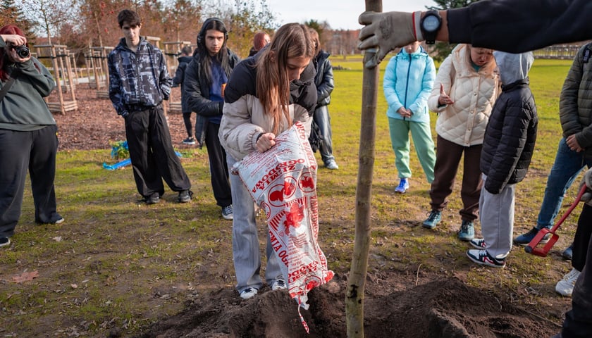Dzieci z pieczy zastępczej sadzą drzewa w powstających Ogrodach Szczytnickich