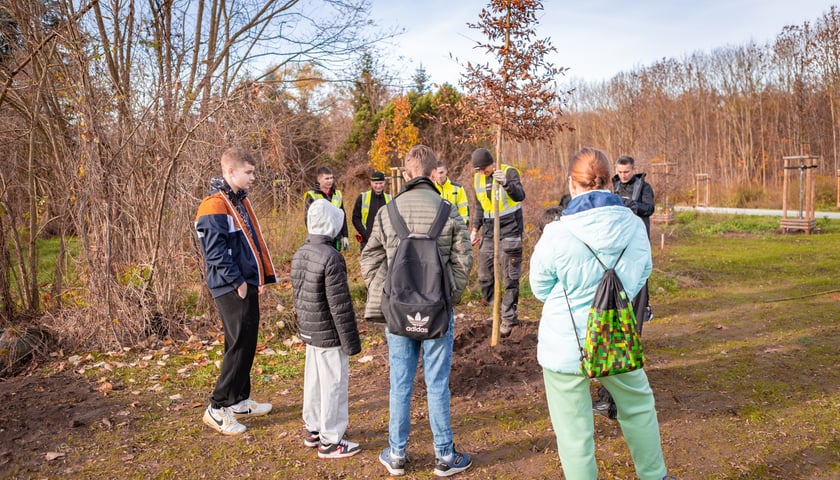 Dzieci z pieczy zastępczej sadzą drzewa w powstających Ogrodach Szczytnickich