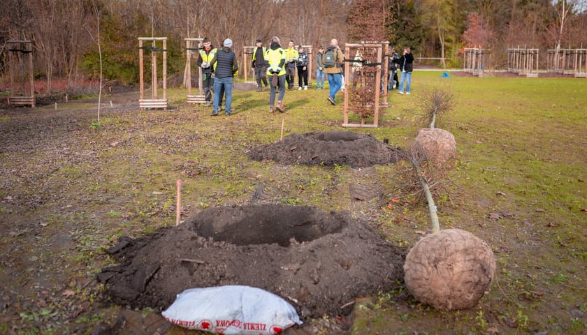 Dzieci z pieczy zastępczej sadzą drzewa w powstających Ogrodach Szczytnickich