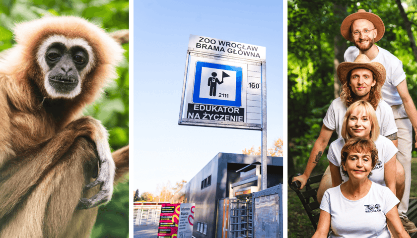 Kolaż  3 zdjęć. Od lewej: gibon białoręki, przystanek Edukator na życzenie, oraz edukatorzy: Piotr Pater, Konrad Chodak, Monika Bielec i Bożena Pałczyńska. 