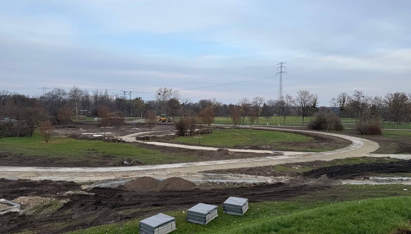 Prace na Górce Szczepińskiej we Wrocławiu