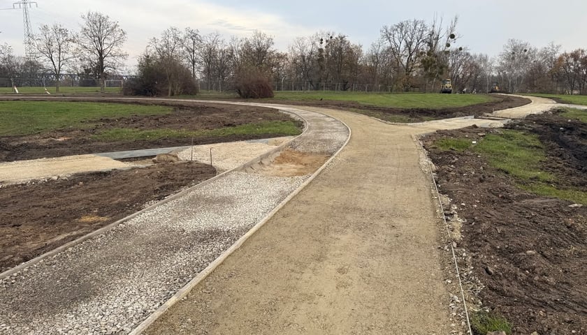 Prace na Górce Szczepińskiej we Wrocławiu