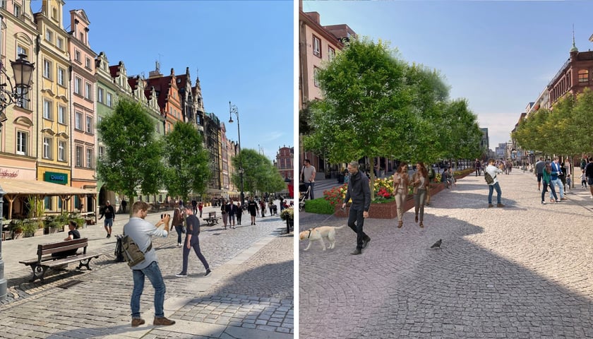 Zdjęcie dzielone na pół: od lewej wizualizacja nasadzeń nowych drzew na wrocławskim Rynku; po prawej - wizualizacja nowych drzew na odcinku ul. Świdnickiej między Rynkiem a ul. Kazimierza Wielkiego.