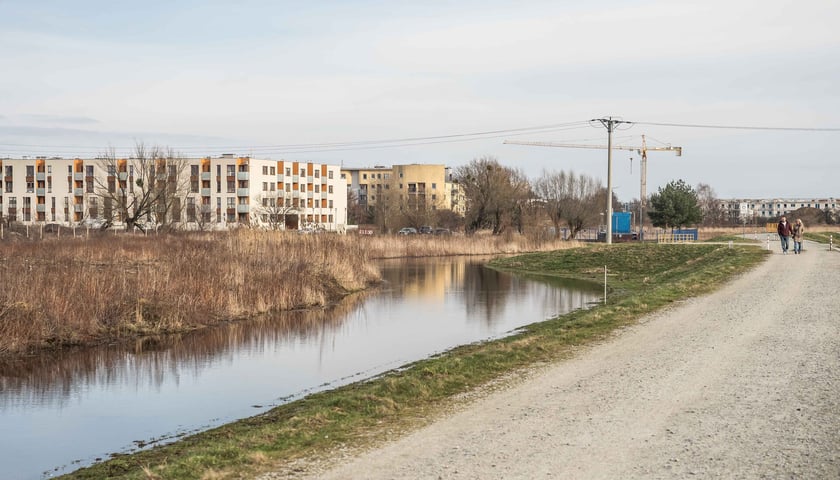 Wysoki poziom wody w Widawie we Wrocławiu, zdjęcie archiwalne, ilustracyjne