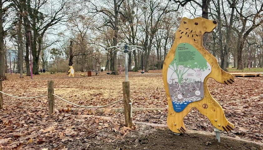 Park Przygody w Parku Andersa