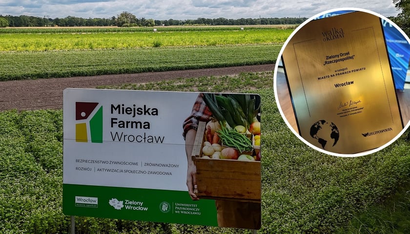 Zdjęcie główne - widok na pole z uprawami - Miejska Farma Wrocław; w prawym rogu mniejsze zdjęcie okrągłe - nagroda Zielony Orzeł "Rzeczpospolitej" dla Wrocławia. 