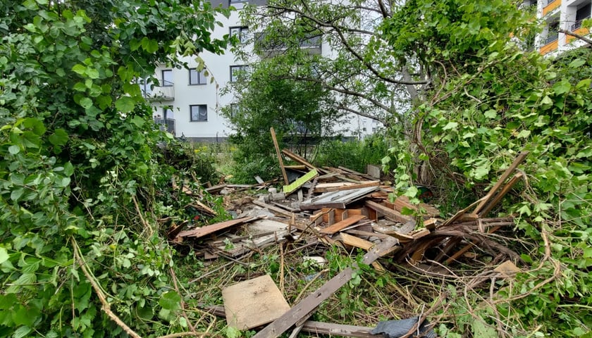 <p>Skwer przy ul. Kajdasza - lipiec 2025</p>