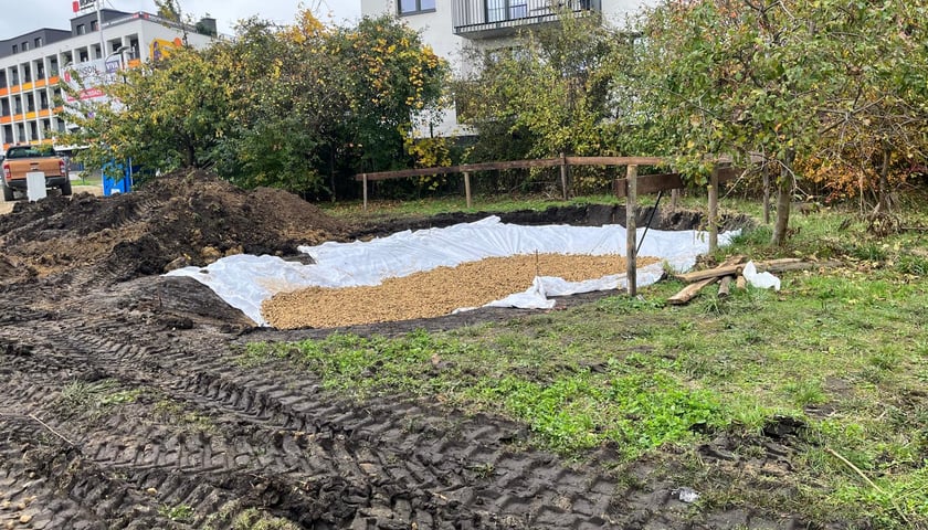 Skwer przy ul. Kajdasza - październik 2025