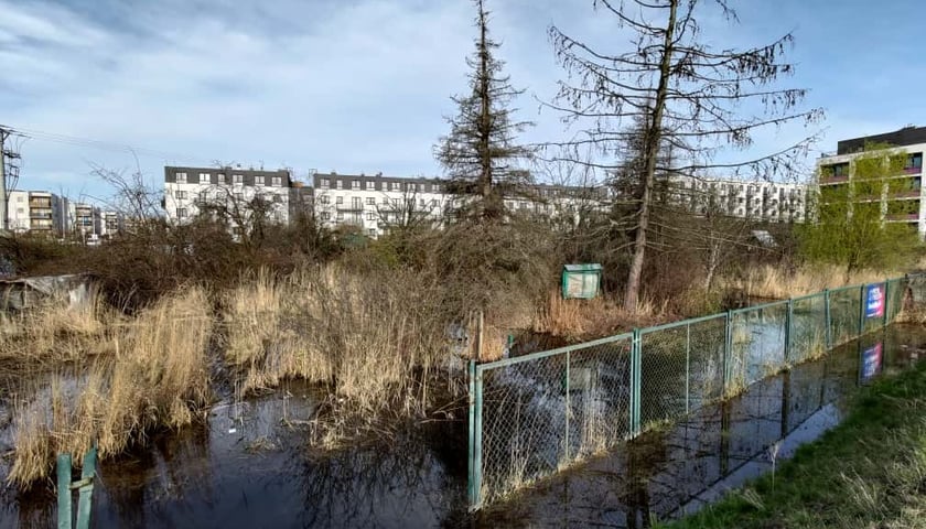 Skwer przy ul. Kajdasza - Zdjęcie "przed"