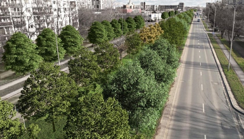 Zapewne tak za kilkanaście lat będzie wyglądać Armii Krajowej - wizualizacja przedstawia aleję, gdy już urosną posadzone na niej drzewa