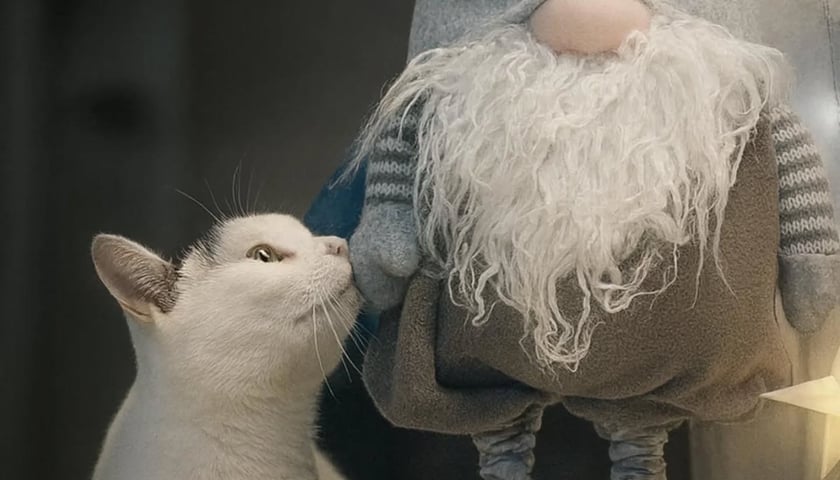 Zdjęcie ze świątecznej sesji Ekostraży