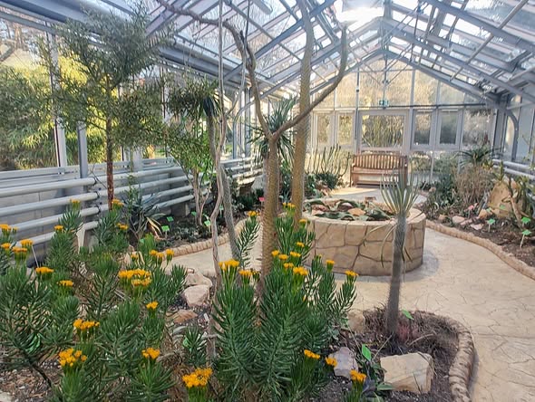 <p>Szlarnia Ogrodu Botanicznego we Wrocławiu</p>