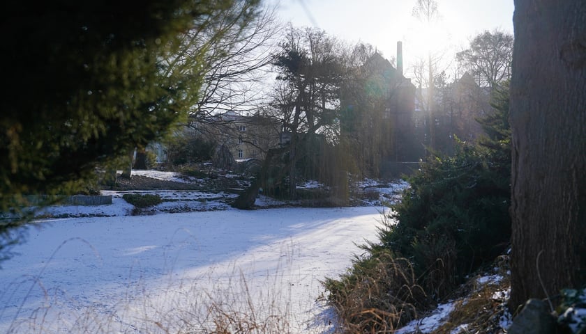 <p>Na zdjęciach Ogr&oacute;d Botaniczny Uniwersytetu Wrocławskiego czynny zimą w soboty i niedziele</p>
