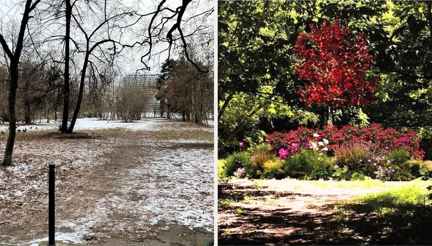 Park Młodych Ekologów na Karłowicach - przed i po (wizualizacja)