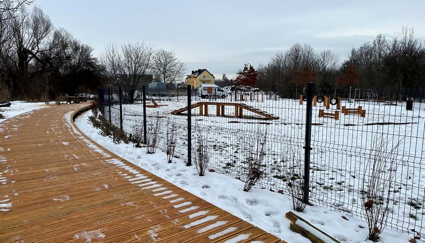 Zielony Klin Żmigrodzki - styczeń 2026