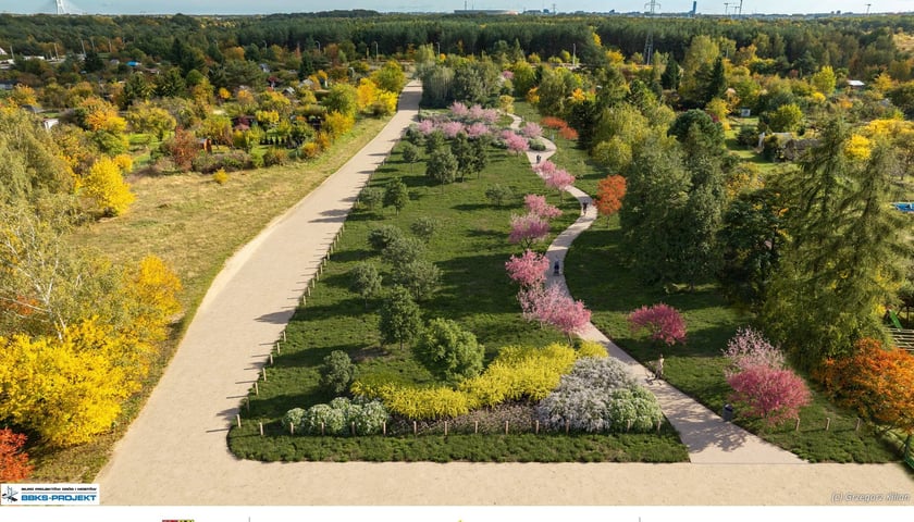 Stabłowicka Wyspa Rodos - wizualizacje