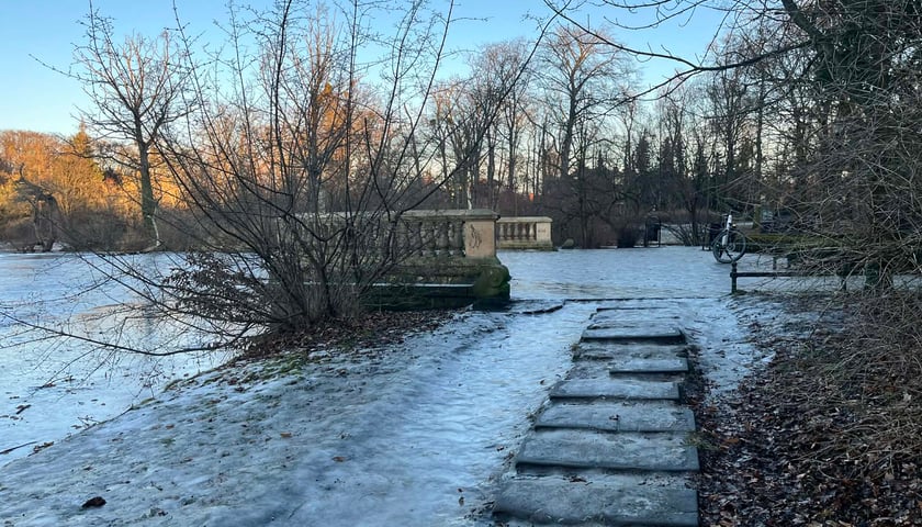 Aktualne ścieżki w parku