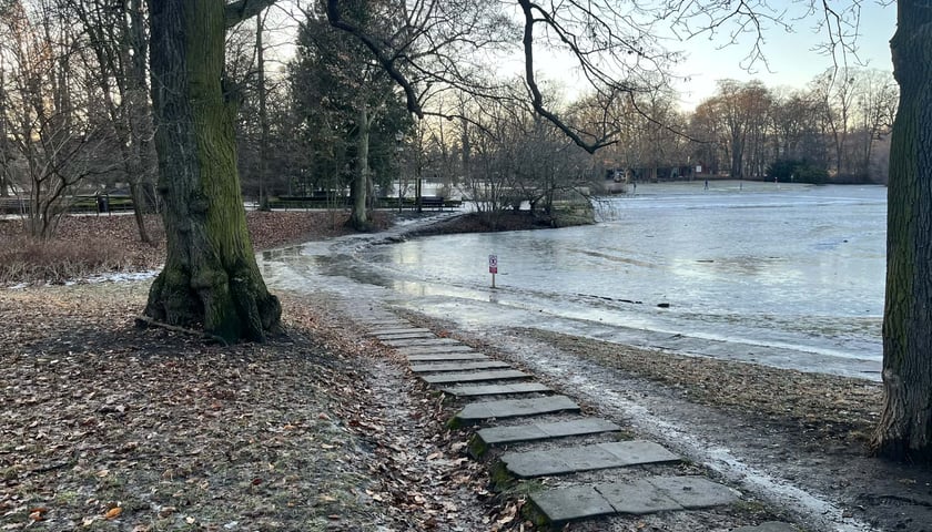 Aktualne ścieżki w parku