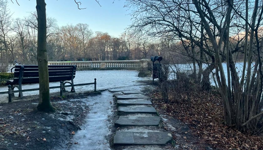Aktualne ścieżki w parku