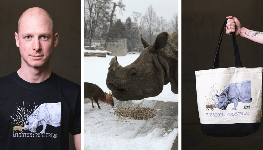 Kolaż 3 zdjęć. Od lewej: Marcin Borowski, opiekun zwierząt kopytnych w ZOO Wrocław prezentuje koszulkę  z grafiką Macieja Matuszaka, opiekuna małp, mundżak chiński Tata i samica nosorożca indyjskiego Marusia, torba z grafiką.