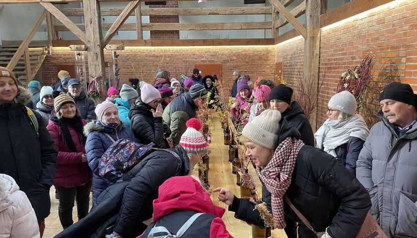 <p>Arboretum Wojsławice otwarte w weekend 13-15 lutego &ndash; wystawa oczar&oacute;w</p>