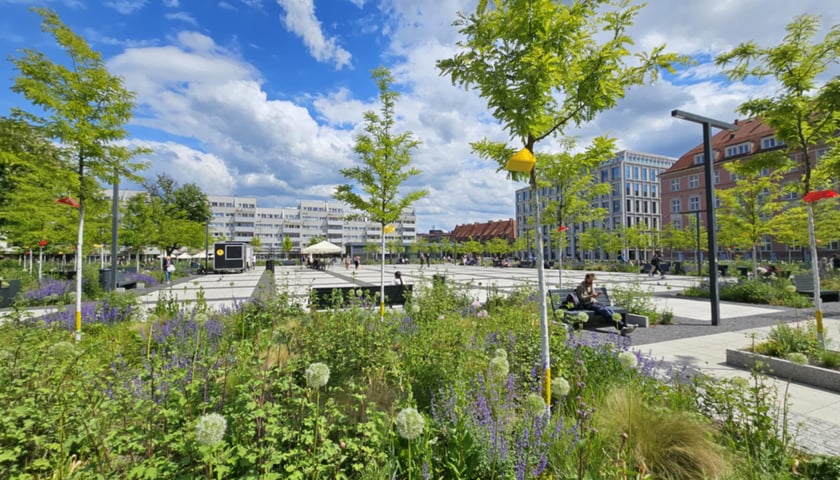 Zadanie 4: Zazielenienie placu Nowy Targ