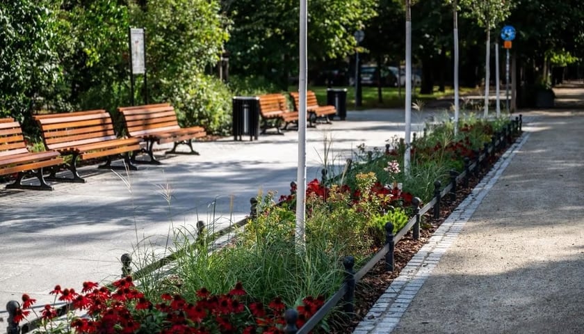 Zadanie 2: Plac wejściowy na Promenadę Staromiejską przy ul. Świdnickiej (Zielono - niebieski skwer przy pomniku Bolesława Chrobrego)