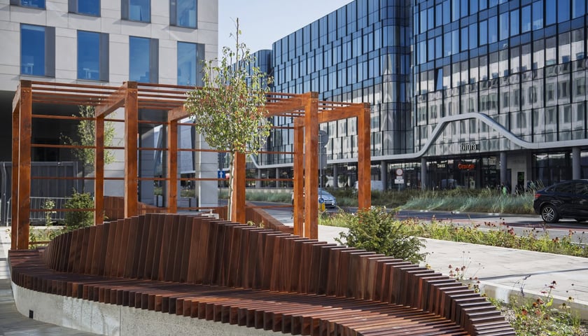 Zadanie 3: Zielono-niebieski skwer przy ul. Suchej