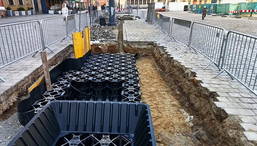Wykop w chodniku - prace przygotowawcze do nasadzeń nowych drzew w Rynku - układanie systemu kompensacyjnego.