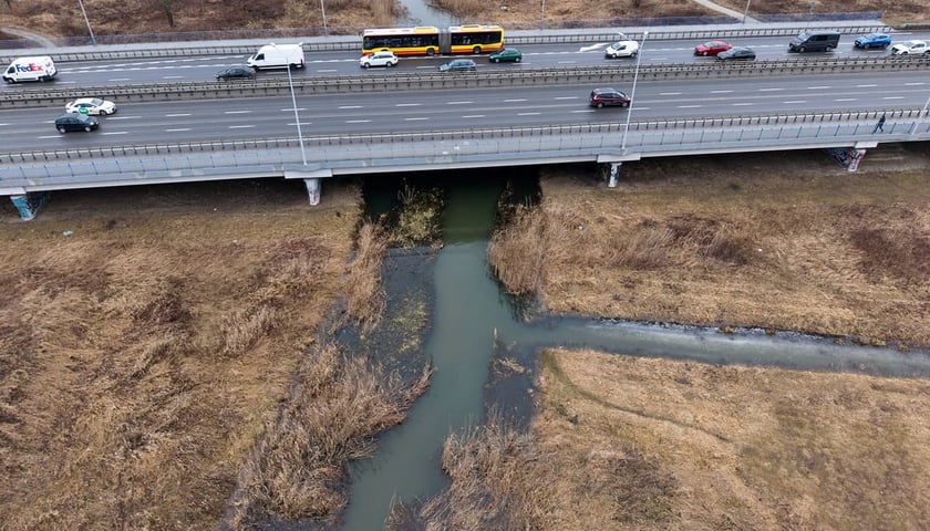 Widawa w rejonie Mostu Bolesława Krzywoustego we Wrocławiu, wtorek 24.02.2026.