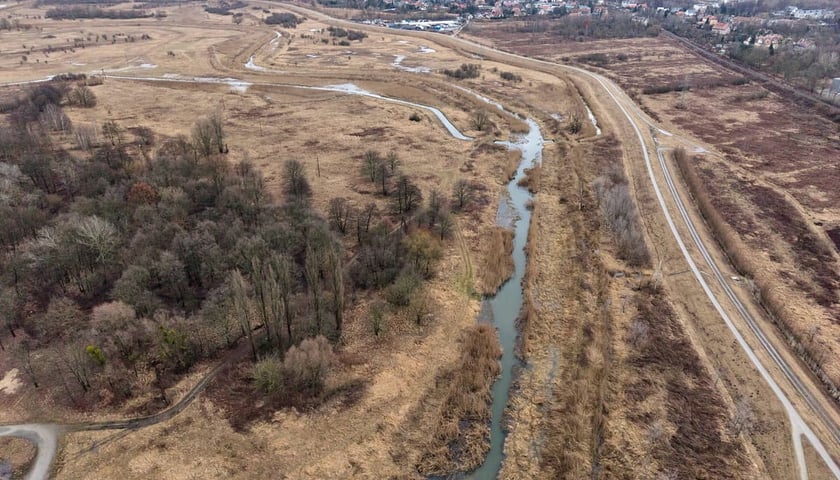 Widawa w rejonie Mostu Bolesława Krzywoustego we Wrocławiu, wtorek 24.02.2026.