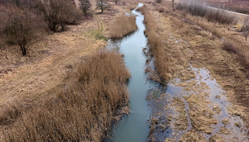 Widawa w rejonie Mostu Bolesława Krzywoustego we Wrocławiu, wtorek 24.02.2026.