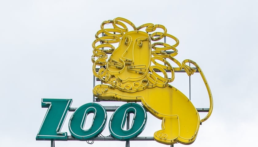 Neon z napisem ZOO i lwem na bramie głównej wrocławskiego ogrodu zoologicznego