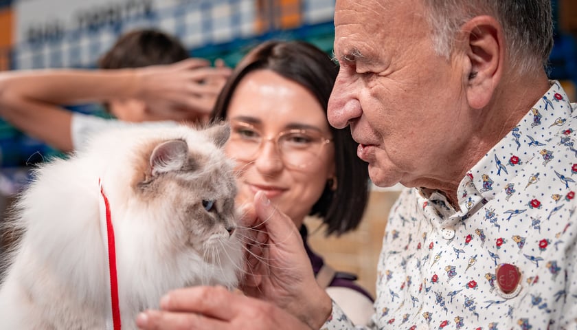 Cat Show Wrocław w Hali Orbita we Wrocławiu, 7 marca 2026