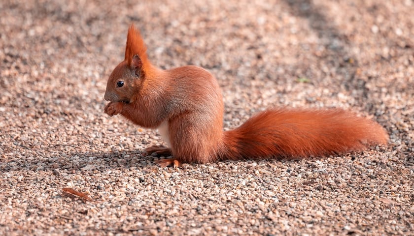 Ogród Botaniczny we Wrocławiu, 8 marca 2026